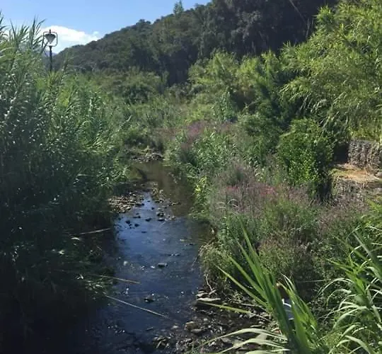 Domu Asquer 9 弗卢米尼马焦雷